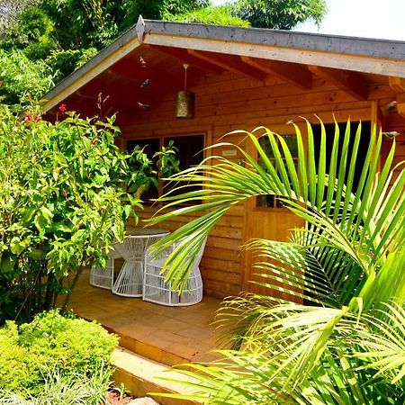Severine Cottages And Lounge Ltd Nairobi Extérieur photo