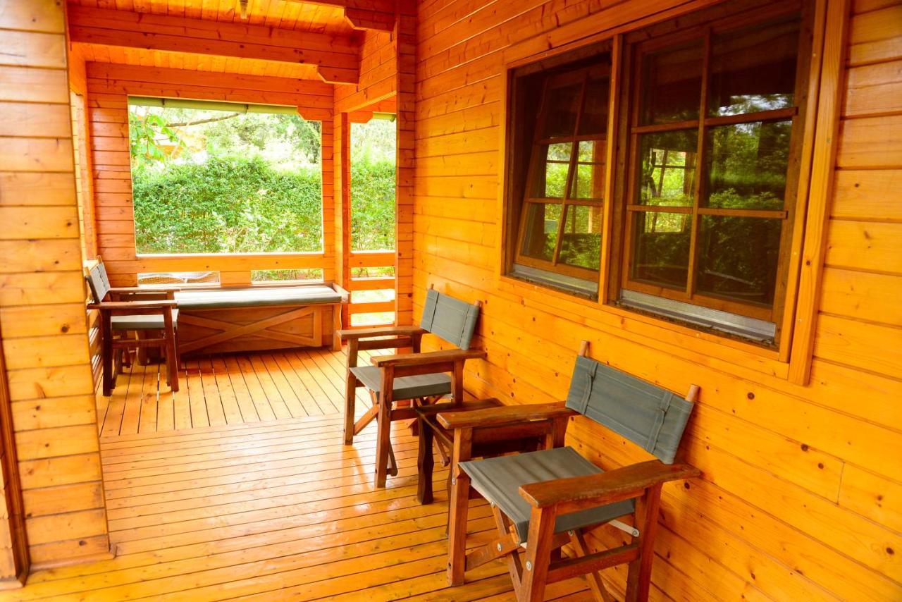 Severine Cottages And Lounge Ltd Nairobi Extérieur photo