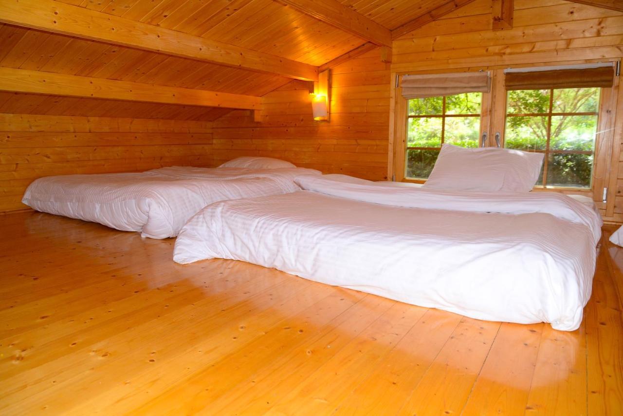 Severine Cottages And Lounge Ltd Nairobi Extérieur photo